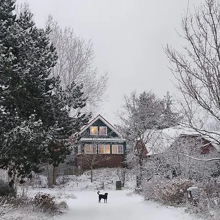 Apartament Haus Seeschwalbe - 01