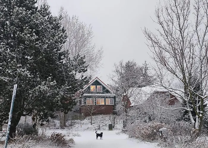 Апартаменты Haus Seeschwalbe - 01